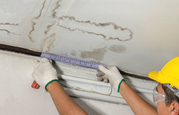 Reliable Sewage Cleanup contractor in Dundee, MI by Water Damage Irwin